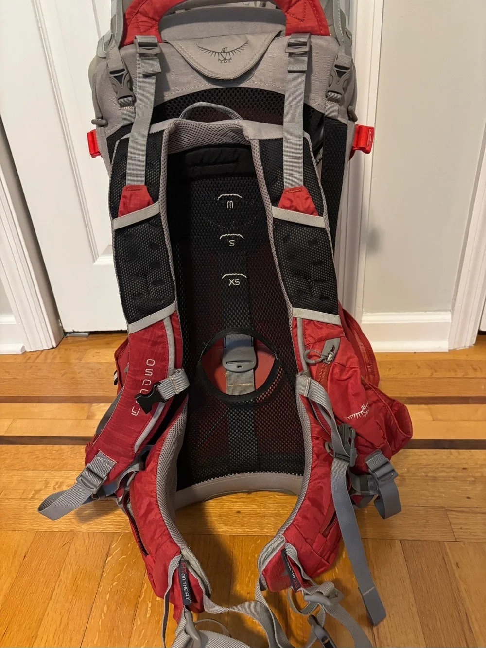OSPREY Poco Plus Child Carrier Pack - Red and Gray